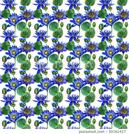 Wildflower blue lotus flower pattern in a 30162427