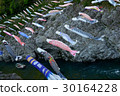 Carp streamer 30164228