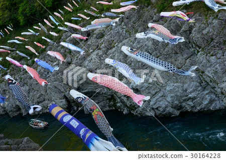 鯉魚旗 30164228