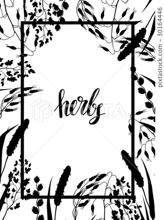 Frame with herbs and cereal grass silhouettes Frame with herbs and cereal grass silhouettes 30164446