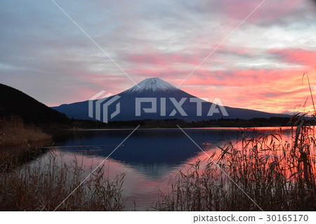 Mount Fuji Mount Fuji 30165170