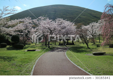 伊豆·Omuroyama Sakura no Sato 30165841