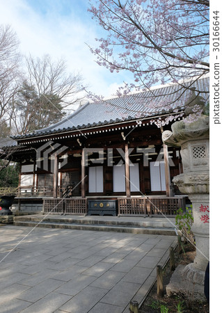 Takahata Fudosaki Otsukido (Ringing Dragon) 30166644