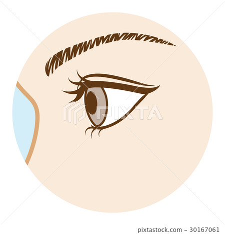 眼部身體側面 30167061