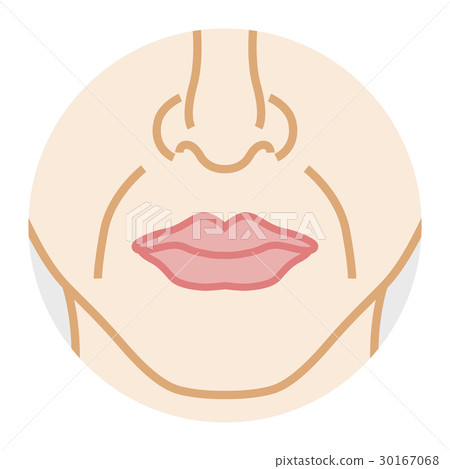 Gray Line Gray Line 30167068