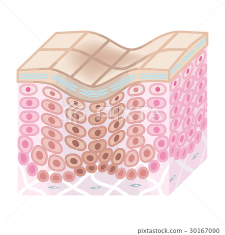 Aging of skin Skin aging Aging of skin Skin aging 30167090