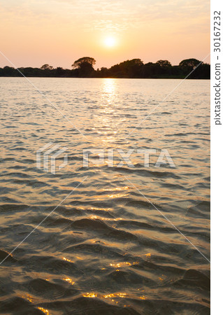 Sundown from Pantanal, Brazil 30167232