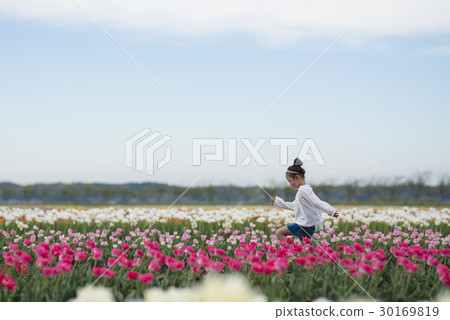 A girl playing in a tulip field 30169819