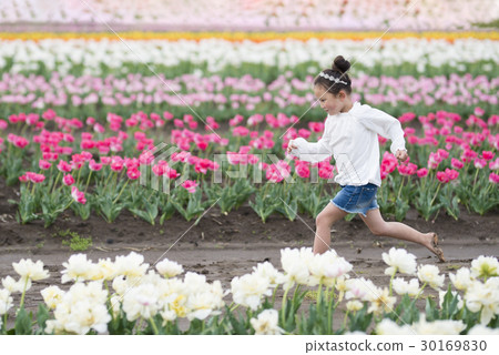 A girl playing in a tulip field A girl playing in a tulip field 30169830
