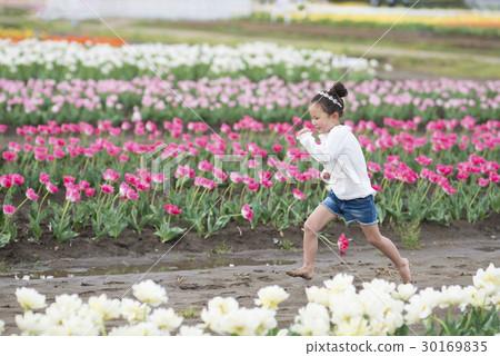 A girl playing in a tulip field 30169835