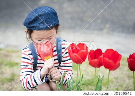 A girl playing in a tulip field A girl playing in a tulip field 30169841
