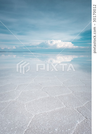 Salar de Uyuni desert, Bolivia 30170012