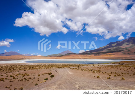 Altiplano laguna in sud Lipez reserva, Bolivia 30170017