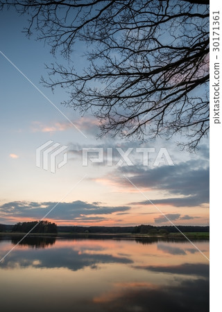 Evening landscape over the pond with few trees Evening landscape over the pond with few trees 30171361