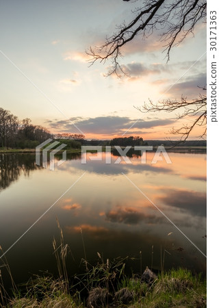 Evening landscape over the pond with reed Evening landscape over the pond with reed 30171363