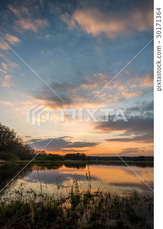 Evening landscape over the pond with reed Evening landscape over the pond with reed 30171364