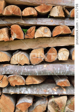 Pile of Logs as Background Pile of Logs as Background 30171798