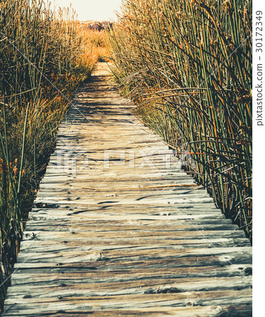 Walking path 30172349