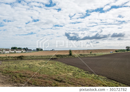Sea, Grass, Skyline. St. Andrews, Scotland 30172782