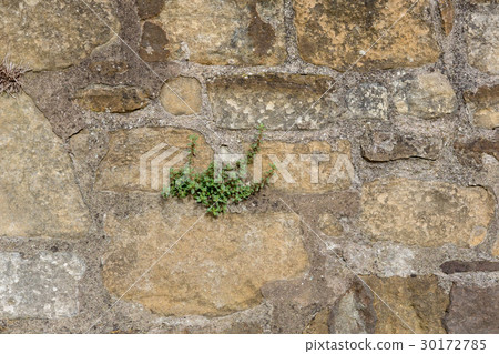 stone brick texture background 30172785