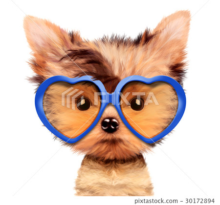 Adorable puppy with sunglasses, isolated on white. 30172894