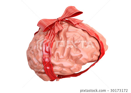 Human Brain with red bow and ribbon 30173172