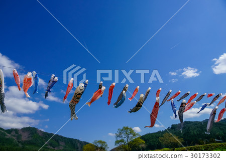 鯉魚飄帶游泳在藍天 鯉魚飄帶游泳在藍天 30173302