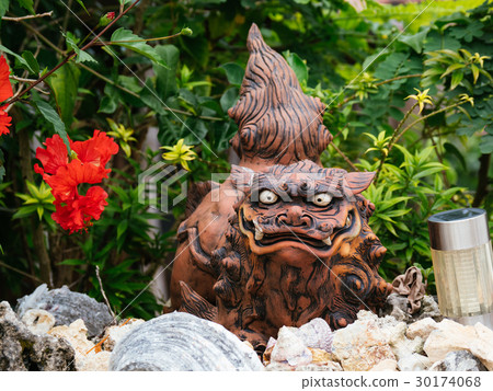 Shisa Shisa 30174068