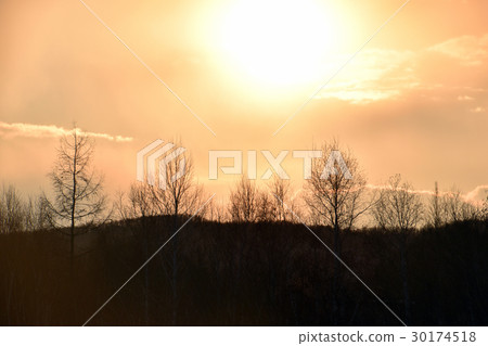 夕陽 30174518
