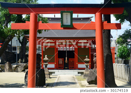 Takashi Shrine Shirami Inari Shrine 30174519
