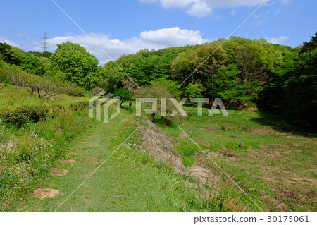 Scenery of Yano at Onoji Satoyama Scenery of Yano at Onoji Satoyama 30175061
