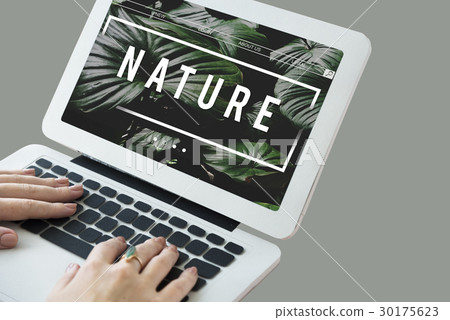 Ecology Fresh Lush Natural Nature Ecology Fresh Lush Natural Nature 30175623