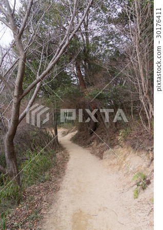 Mt. Rokko山徑 Mt. Rokko山徑 30176411