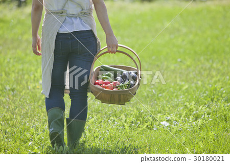Women with summer vegetables Women with summer vegetables 30180021