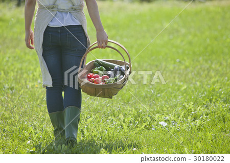 Women with summer vegetables 30180022