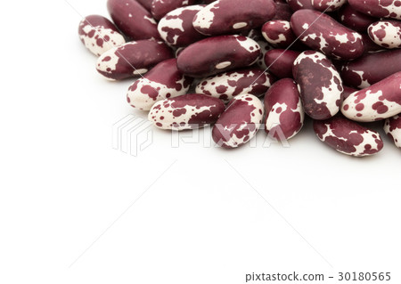 Trout Bean (Jacob Kettle Bean): Trout bean 30180565