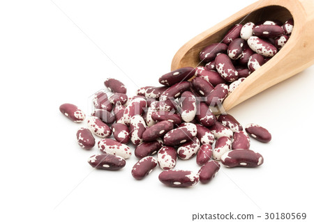 Trout Bean (Jacob Kettle Bean): Trout bean 30180569