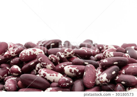 Trout Bean (Jacob Kettle Bean): Trout bean 30180573
