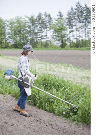 修剪草坪割草 修剪草坪割草 30180601