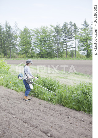 Mowing lawn mowing Mowing lawn mowing 30180602