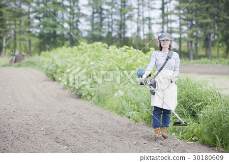 Mowing lawn mowing Mowing lawn mowing 30180609