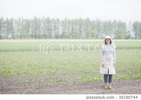 農場婦女 30180744