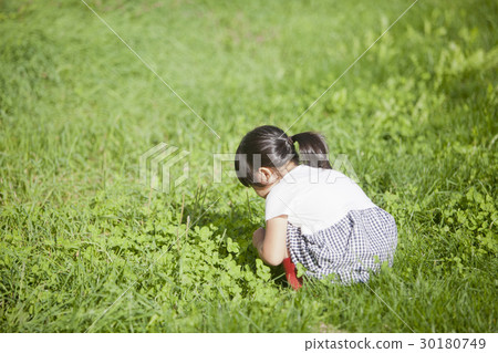 A girl looking for a four leaf clover A girl looking for a four leaf clover 30180749