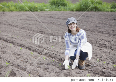 農業女孩 30181034