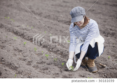 農業女孩 30181039