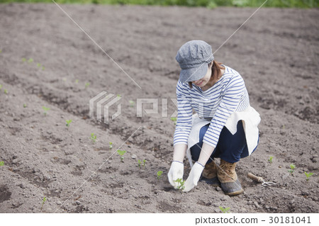 農業女孩 30181041