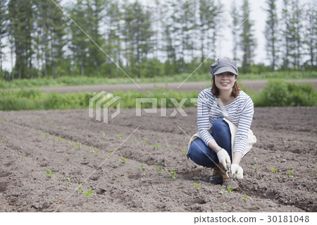 農業女孩 30181048