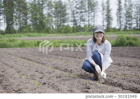 農業女孩 30181049