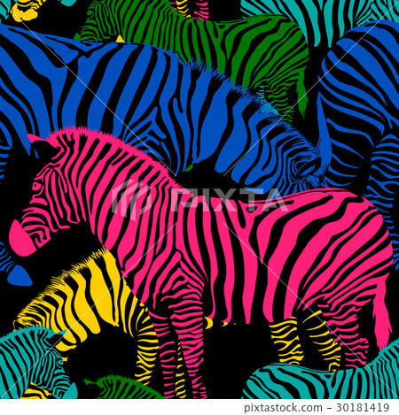 Colorful zebra seamless pattern.  30181419