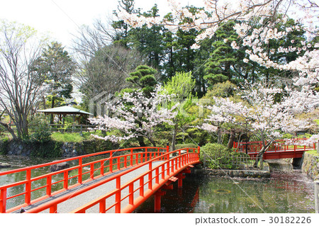 Kakegawa Castle Park Lotus Pond 30182226